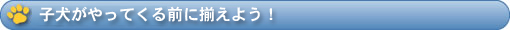 子犬が来る前に揃えよう！
