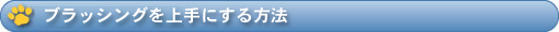 ブラッシングを上手にする方法