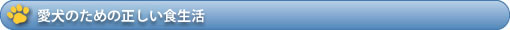 愛犬のための正しい食生活