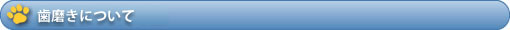 歯磨きについて