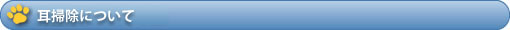耳掃除について