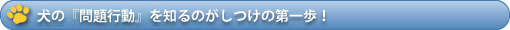 犬の『問題行動』を知る