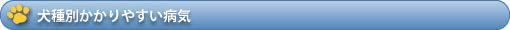 犬種別かかりやすい病気