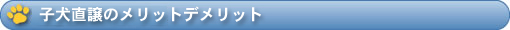 子犬直譲のメリットデメリット